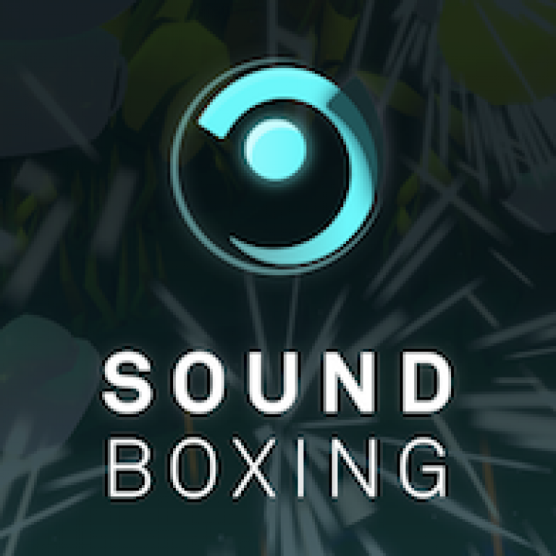 soundboxing